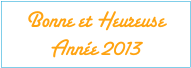 Bonne Année sur NetWalkerStore Bonne Année sur NetWalkerStore