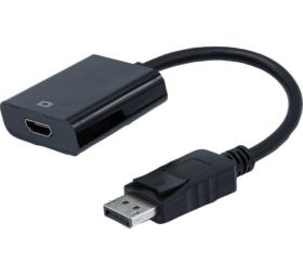 Convertisseur DisplayPort 1.1 vers HDMI 20 cm