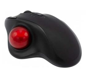 Souris ergonomique sans fil 2,4Ghz et Bluetooth