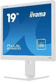 Moniteur LED 19 pouces IIYAMA B1980D-W5
