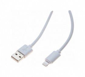 Cordon Apple Lightning vers USB 2 m