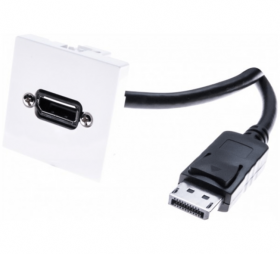 Plastron DisplayPort 45 x 45 avec cable coudé 2 m