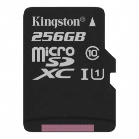 afficher l'article Carte MicroSDXC Class 10 Kingston 256 Go