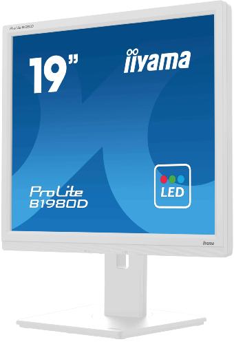 Moniteur LED 19 pouces IIYAMA B1980D-W5