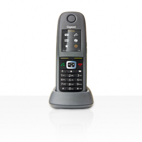 Gigaset R650H Pro téléphone sans fil DECT IP65