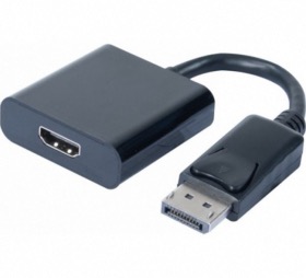 Adaptateur 20 cm Displayport 1.1 vers HDMI