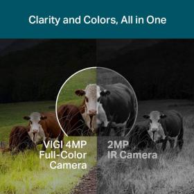 Caméra IP extérieure PTZ 4MP VIGI C540-4G 4 mm