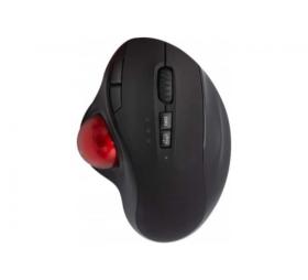 Souris ergonomique sans fil 2,4Ghz et Bluetooth