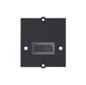 Plastron DisplayPort équipé Bachmann