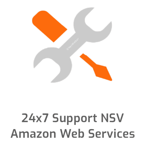 24X7 Support 5 ans For NSV 10 Amazon Web Services