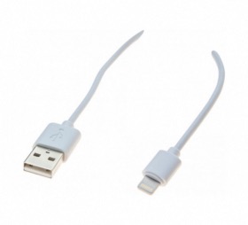 Cordon Apple Lightning vers USB 0,5 m