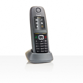 Gigaset R650H Pro téléphone sans fil DECT IP65