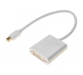 afficher l'article Convertisseur mini Displayport 1.1 vers DVI-D 