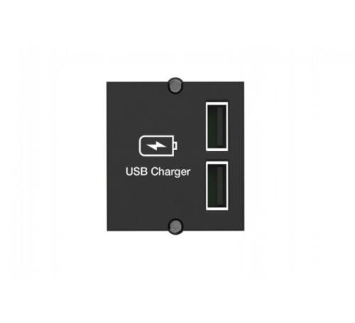 Plastron chargeur 2 ports USB Bachmann