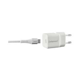Chargeur mural USB-C 30W Intenso W30C GAN