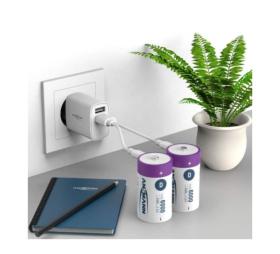 Piles D rechargeables USB-C - Blister de 2